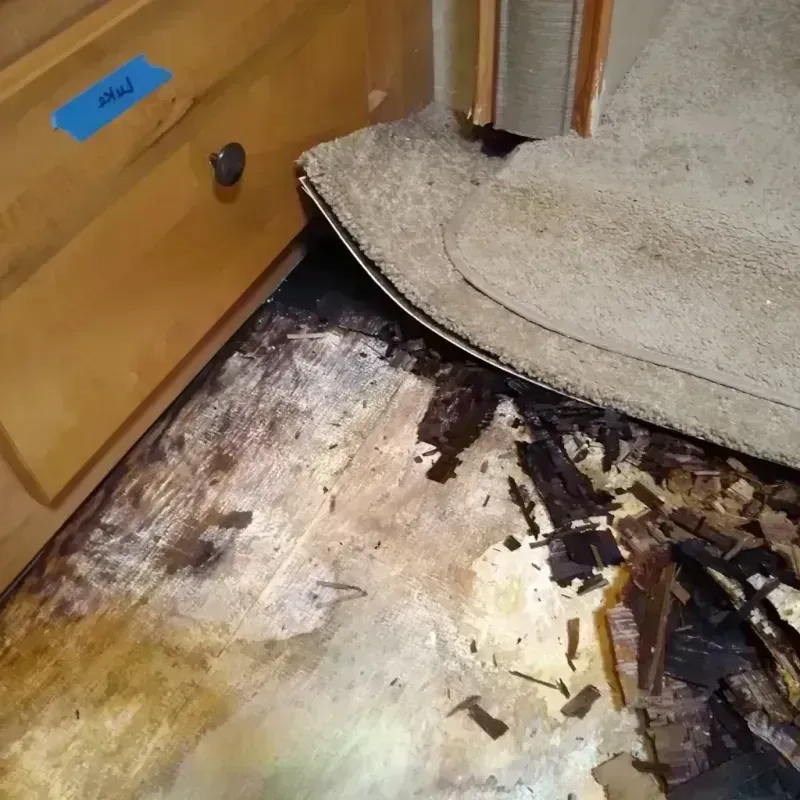 Best Wood Floor Water Damage Service in Manchester, ME